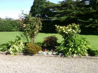 Ardsollus Farm Garden