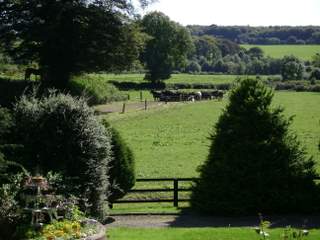 Ardsollus Farm View of Farm and Cattle